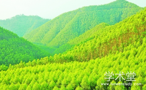 生态保护下桉树人工林产业的发展优化