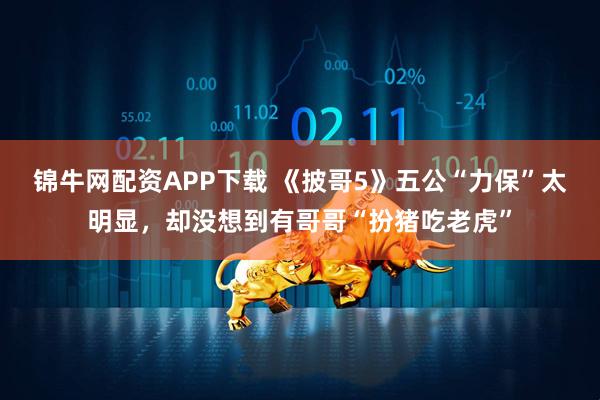 锦牛网配资APP下载 《披哥5》五公“力保”太明显,却没想到有哥哥“扮猪吃老虎”