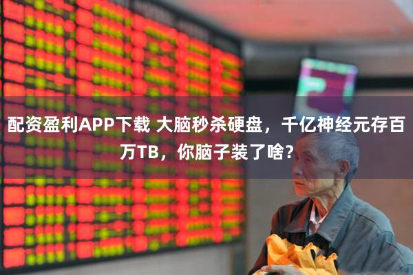 配资盈利APP下载 大脑秒杀硬盘，千亿神经元存百万TB，你脑子装了啥？