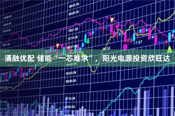 涌融优配 储能“一芯难求”，阳光电源投资欣旺达